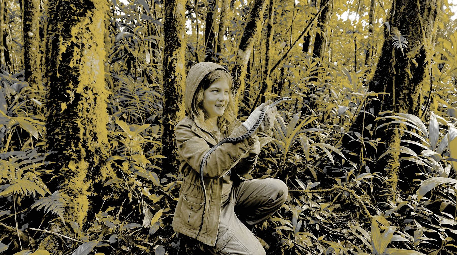 Den Namen tanzen Grafik