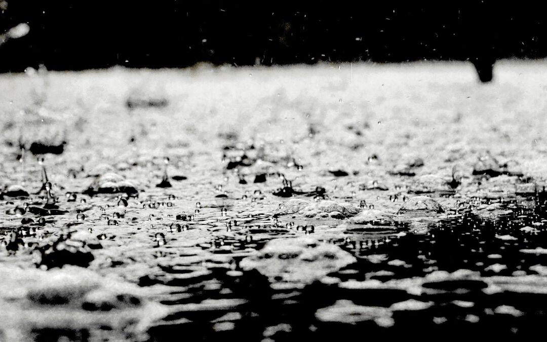 Der Geruch von Regen: Alles über Petrichor und warum wir ihn so intensiv wahrnehmen