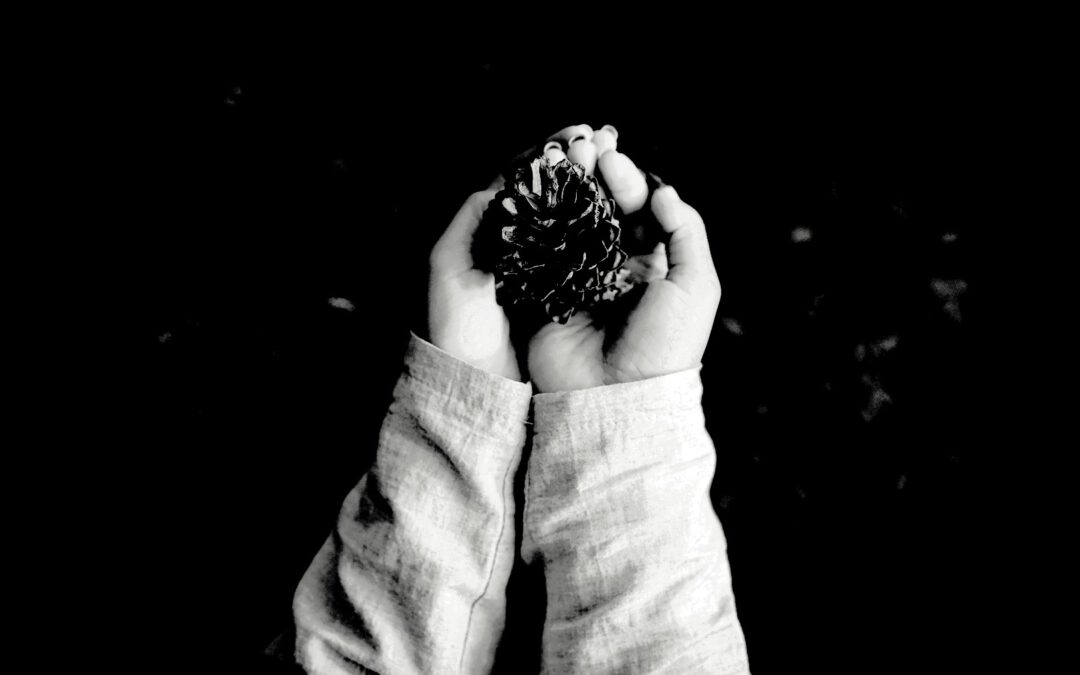 Doomsday Vault: Alles über den Svalbard Saatgut-Tresor auf Spitzbergen