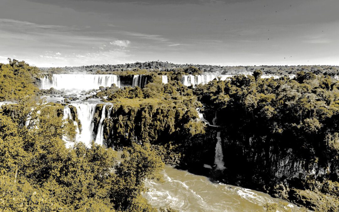 Investition mit Stabilität: Rinder Rendite von Stefan Bode – Der innovative Weg zur sicheren Geldanlage