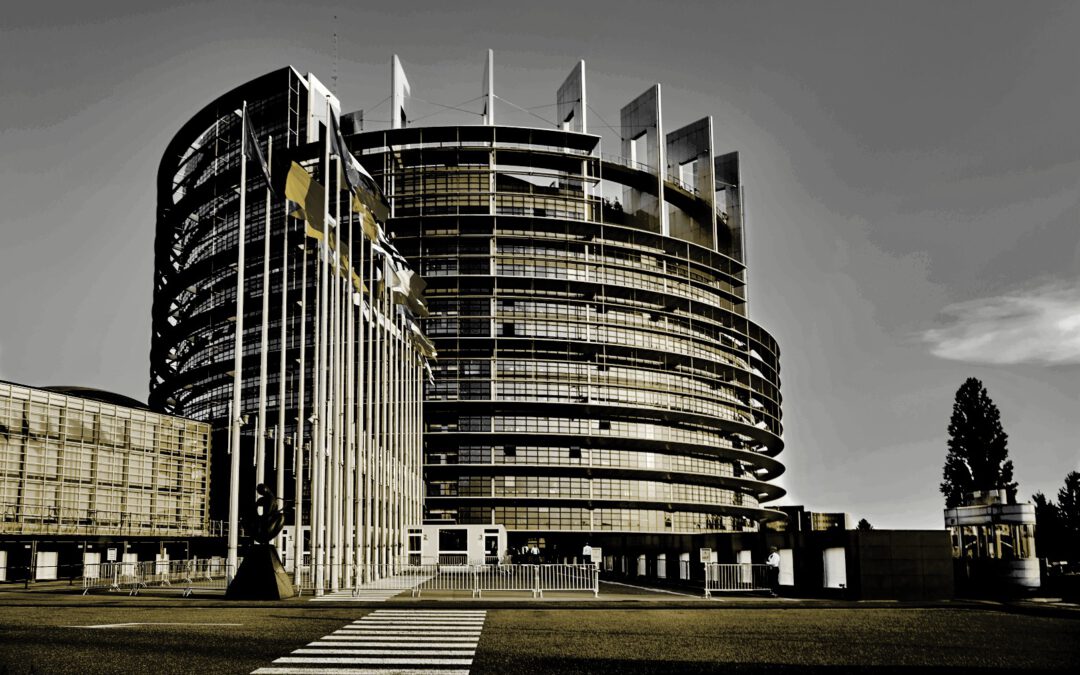 Europäische Interessenvereinigungen