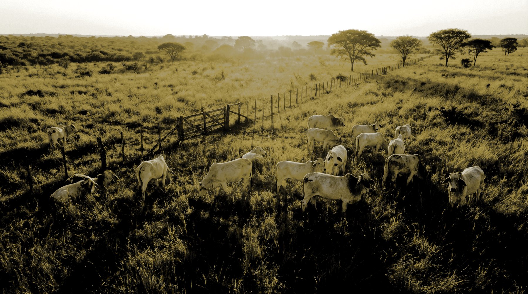 Investitionen Darstellung