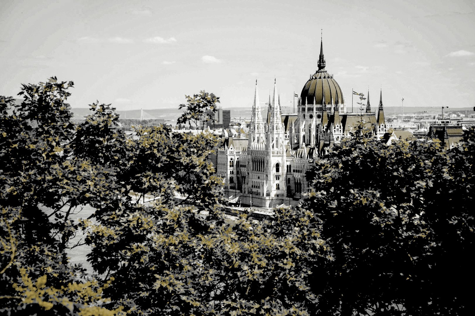 Firmengründung in Ungarn - 91% Gewinn behalten statt nur die Hälfte wie in Deutschland