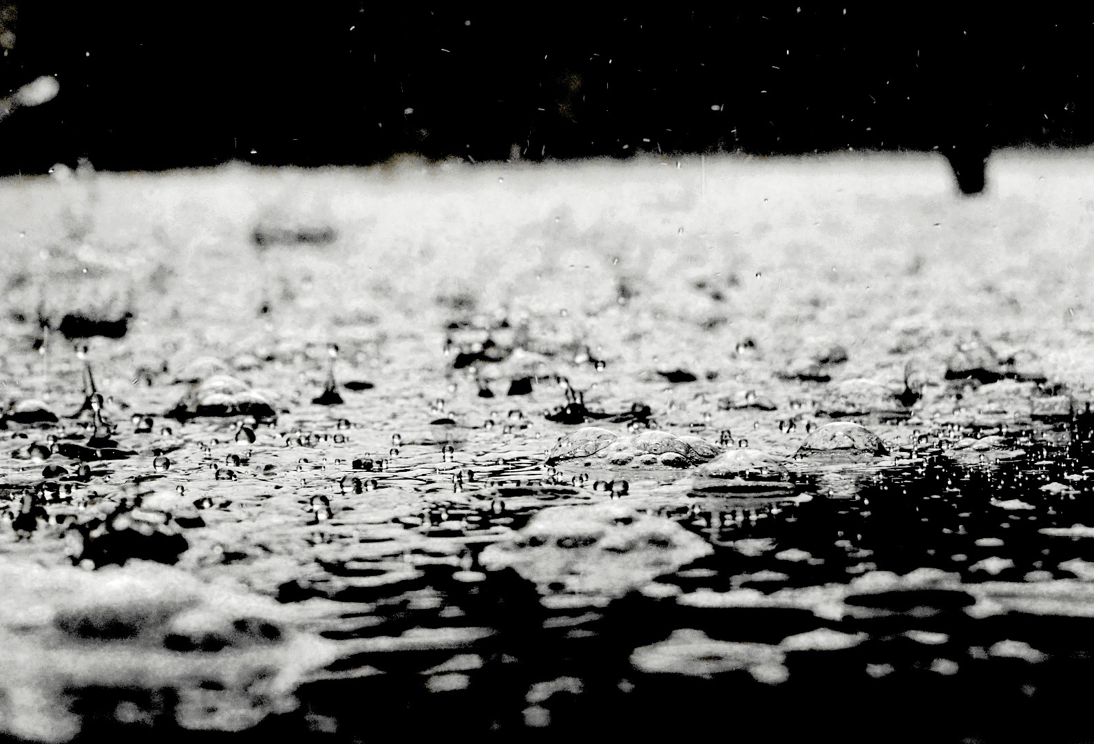 Petrichor Geruch von Regen: Regentropfen auf trockenem Asphalt in atmosphärischem Schwarz-Weiß