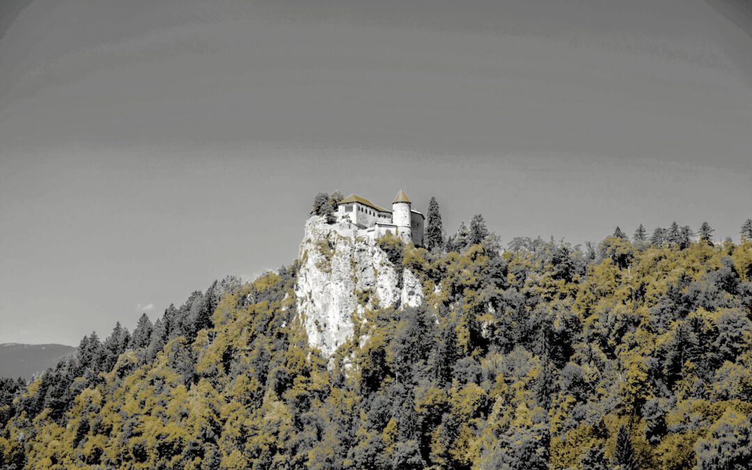 Vermögensschutz durch Stiftungen: Liechtenstein oder Deutschland?