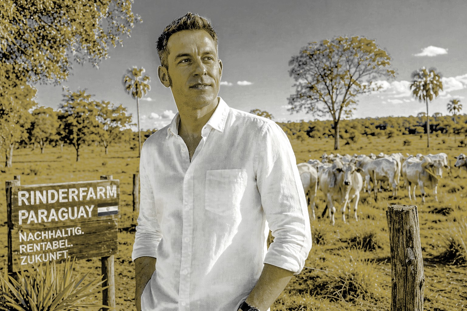 Wie Rinder-Rendite deine Geldanlage komplett revolutioniert - Paraguay Investment Geheimtipp